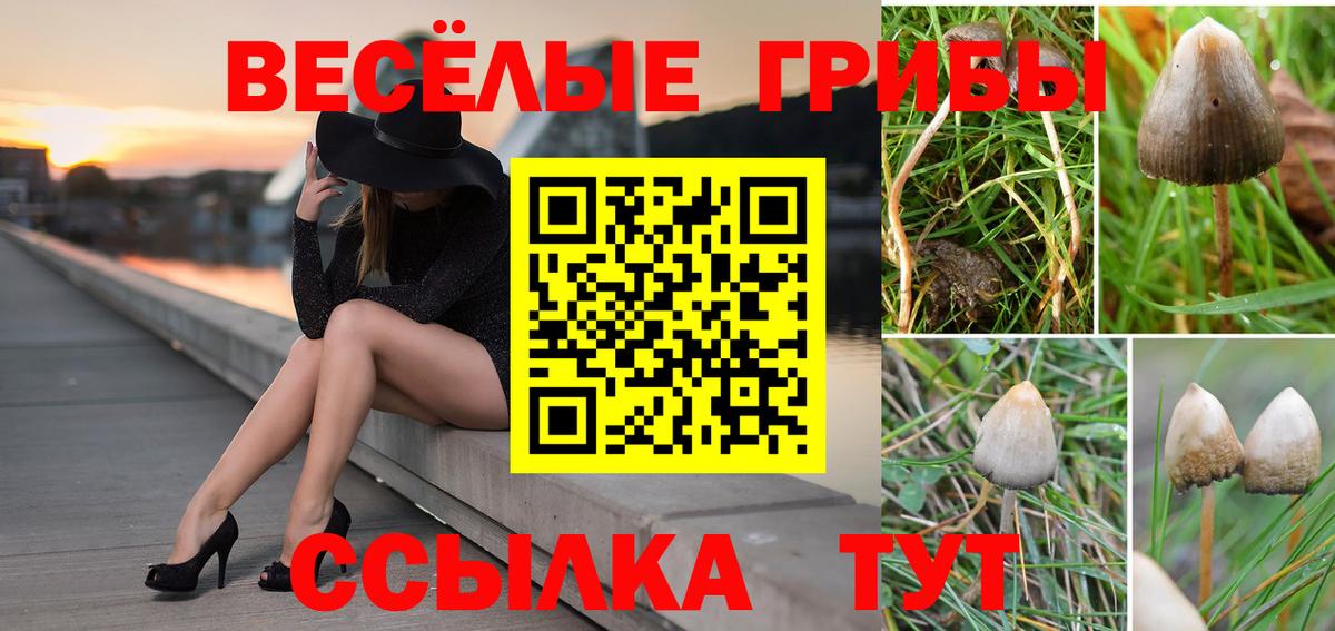 Галлюциногенные грибы MAGIC MUSHROOMS  Вход с VPN  Лобня 