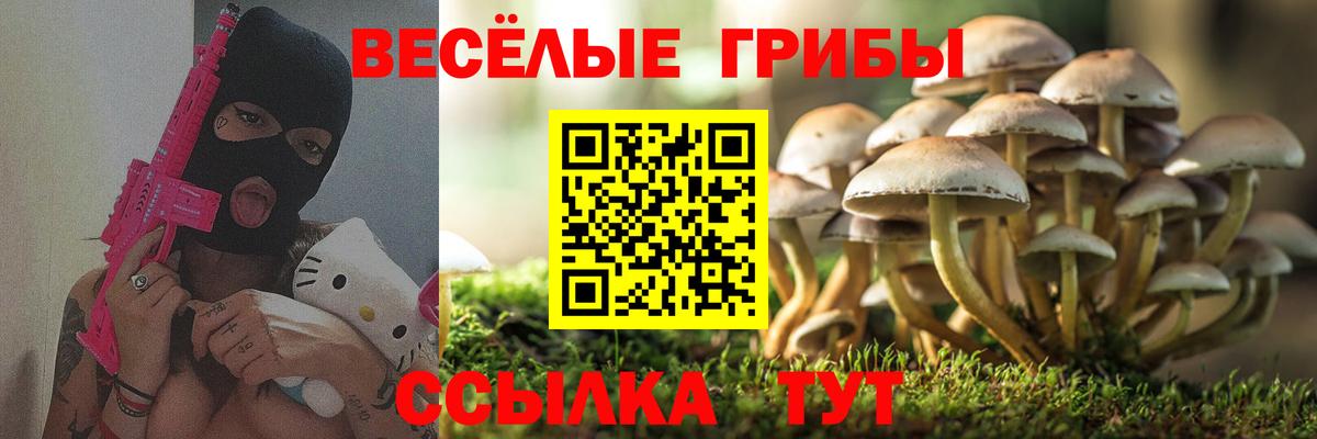 Псилоцибиновые грибы GOLDEN TEACHER Лобня